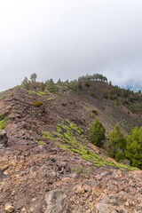 Montaña de la Gallo – Vulkanlandschaft, La Palma © Florian Braun