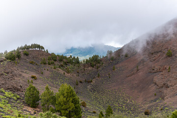 Montaña de la Gallo – Vulkanlandschaft, La Palma © Florian Braun