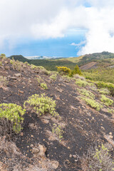 Montaña de la Gallo – Vulkanlandschaft, La Palma © Florian Braun
