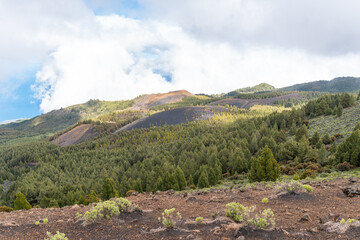 Montaña de la Gallo – Vulkanlandschaft, La Palma © Florian Braun