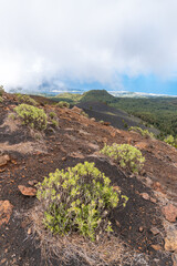 Montaña de la Gallo – Vulkanlandschaft, La Palma © Florian Braun