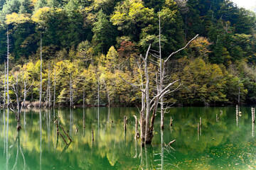 王滝村 © tosi