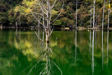 王滝村 © tosi