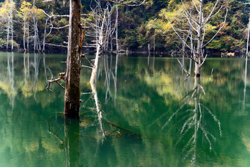 王滝村 © tosi
