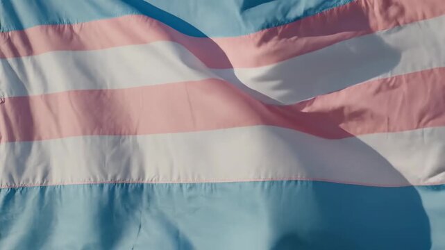 Transgender Pride Flag Waving close-up of light blue pink and white fabric rippling in the wind ideal for LGBTQ+ awareness campaigns and perfect for human rights documentaries.