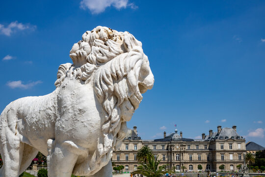 A close-up of a lion sculpture in the Luxembourg Gardens in Paris (France), on a sunny day