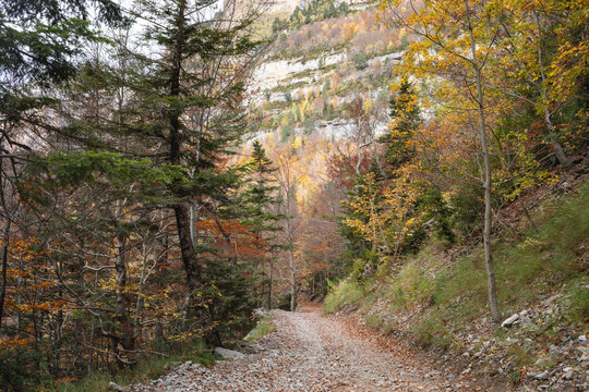 An idyllic autumnal landscape in the Ordesa and Monte Perdido National Park in Huesca, Aragon, Spain