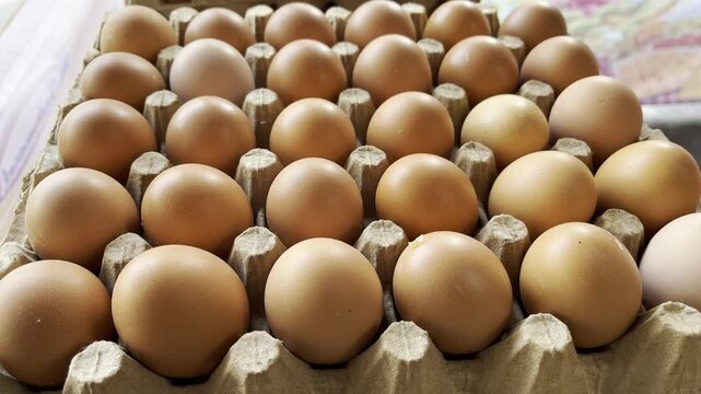 Medium shot of fresh organic brown chicken eggs arranged neatly in cardboard crate box