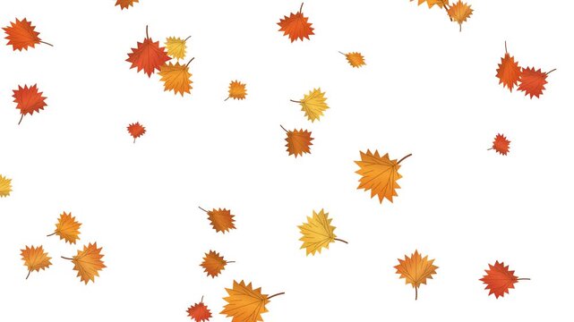 Colorful red, orange, and yellow autumn leaves falling smoothly across a clean white background.