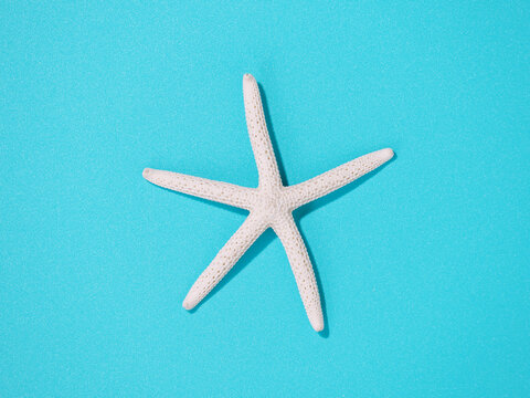 White Starfish Isolated On Vibrant Cyan Blue Paper Background