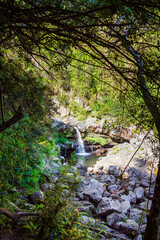 Grand Galet Waterfall, Reunion Island © Bernard