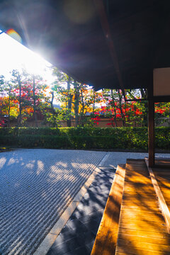 京都の大徳寺の美しい庭園の紅葉