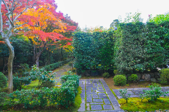 京都の大徳寺の美しい庭園の紅葉