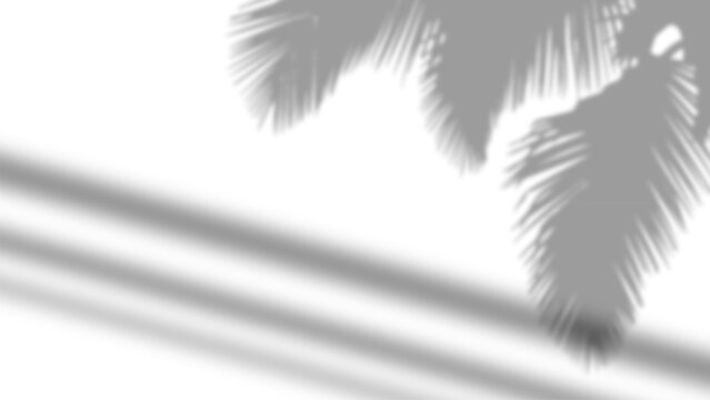 Soft Grey Drop Shadow Gradient Background on Clean White