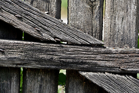 Wooden texture old boards. vintage boards and old rusty nails. Abstract texture of old boards. the wood is destroyed. wood texture. knots, imperfect surface. Closeup of an old wooden fence. background