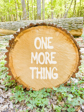 One more thing words symbol. Concept words One more thing on beautiful wooden circle. Beautiful green forest background. Business and one more thing concept. Copy space.