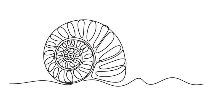 Simple line art drawing of a spiral seashell