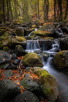 Vertical autumn mountain stream with silky waterfalls and mossy rocks   