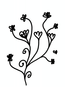 Set of black flower and isolated on white background