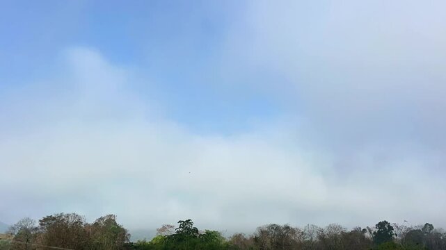 A time-lapse (TL) of moving fog and clouds. Doi Luang Chiang Dao is a beautiful place with greenery around. It is the third highest mountain in Thailand.
