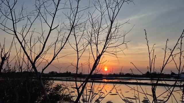 Sunset over traditional salt pans with silhouette bare tree branches and water reflections