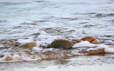 waves hitting stones on sandy beach © maureen