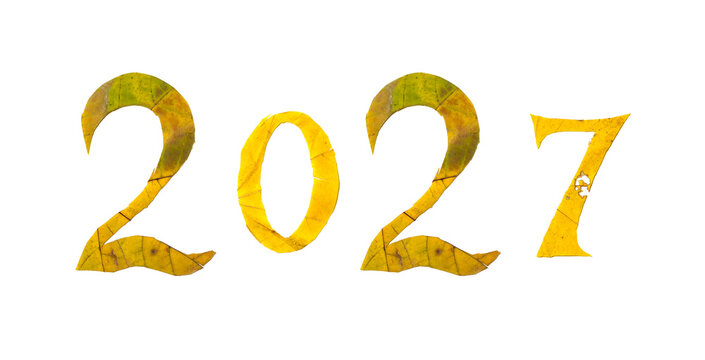2027 numbers carved from yellow maple leaves