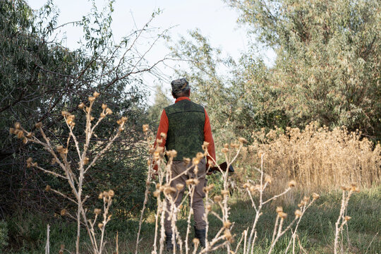 A hunter with a gun in camouflage clothing. A gentleman with a gun, medium shot, unrecognizable.