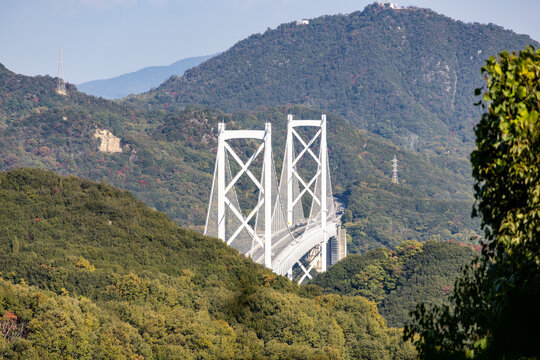 緑豊かな山々に挟まれた峡谷にそびえ立つしまなみ海道・因島大橋の白い主塔