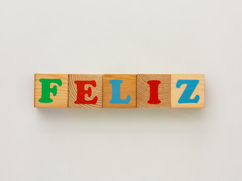 The image features wooden alphabet blocks arranged to form the Spanish and Portuguese word FELIZ , which translates to happy in English