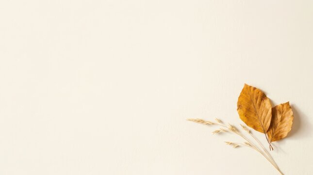 Minimal flat lay of dried autumn leaves and stems on beige surface with autumnal