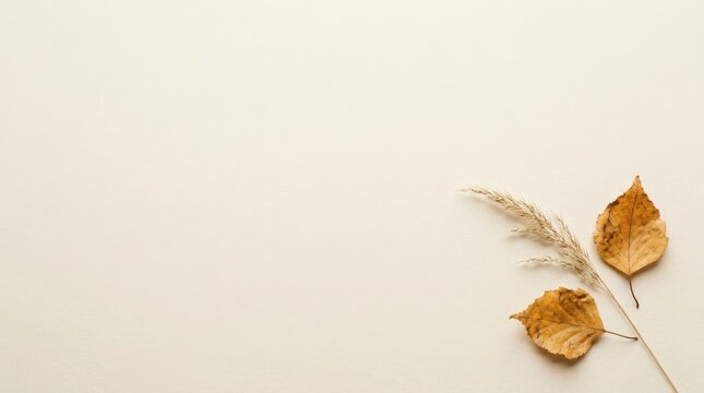 Flat lay of dried autumn leaves and grass on beige background with dry plant