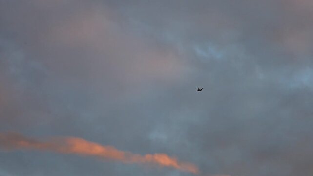Cinematic video frame captures a solitary silhouette of an airplane flying high in the sky. Its path lies through a soft, textured blanket of cumulus clouds, illuminated by the warm hues of the settin