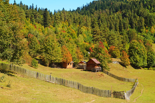 Scenic rural landscape of an alpine farm and colorful autumn forest in Mestia, Svaneti region, Georgia