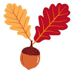 Autumn oak leaves with acorn nut © Hartati