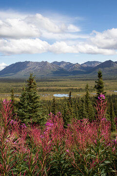 Mountains on the Glenn Highway in Alaska