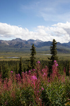Mountains on the Glenn Highway in Alaska