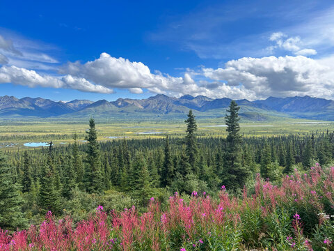 Mountains on the Glenn Highway in Alaska