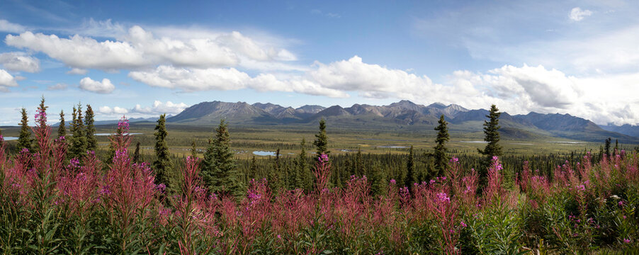 Mountains on the Glenn Highway in Alaska