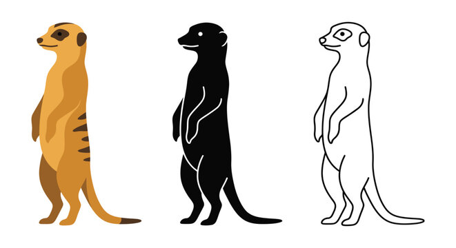 Meerkat illustrations in color silhouette and line art styles on a white background