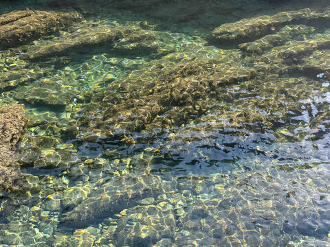 Clear sea with rocky seabed 