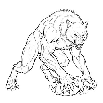 Hand drawn sketch of a feral werewolf eating 3/4 view. Line art illustration.