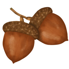 two acorns on a white © Siratus