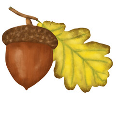 acorn and oak leaf © Siratus
