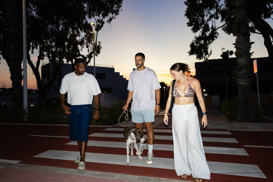 Evening walk with friends and dog