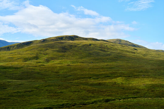 Solitary Mountain Rising Above Expansive Green Meadow