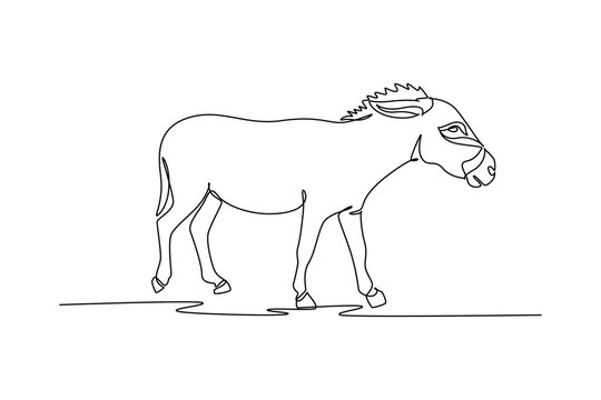 Single one line drawing wild donkey or burro walking across open savanna, its large upright ears, bristled mane, bowed head, and slender legs. Continuous line draw design graphic vector illustration