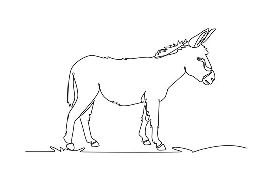 Continuous one line drawing a wild donkey standing peacefully in side profile, its upright ears, bristled mane, calm expression, and sturdy hooves. Single line draw design vector graphic illustration
