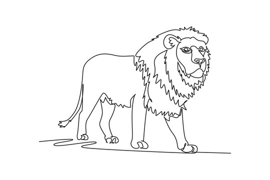 Single continuous line drawing majestic male African lion standing proudly, it shaggy voluminous mane, sturdy legs, tufted tail, and regal feline gaze. One line draw graphic design vector illustration