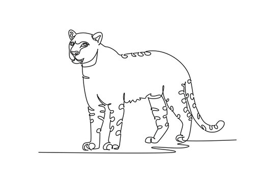 Single one line drawing wild leopard or cheetah standing alertly. Spotted coat patterns, muscular feline body, rounded ears, long curved tail. Continuous line draw design graphic vector illustration
